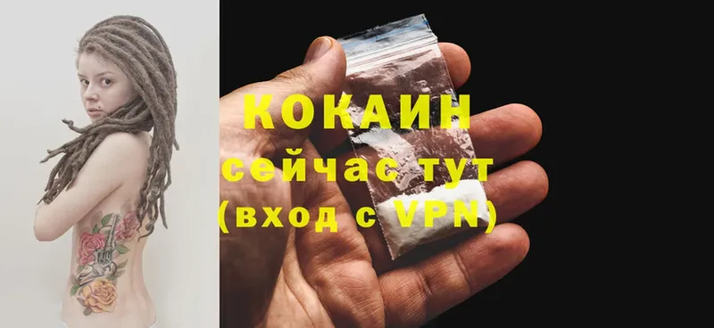 где можно купить   Будённовск  Cocaine 99% 